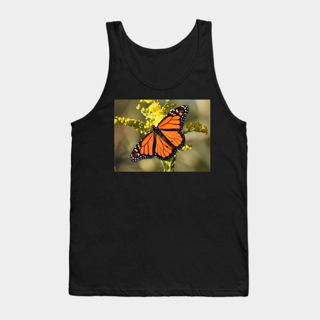 Monarch Butterfly 100320 Tank Top by ToniaDelozier